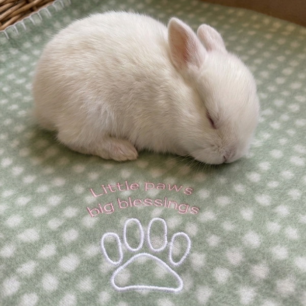 Little Paws - Embroidered Pet Blanket - Small -  Blue/Sage