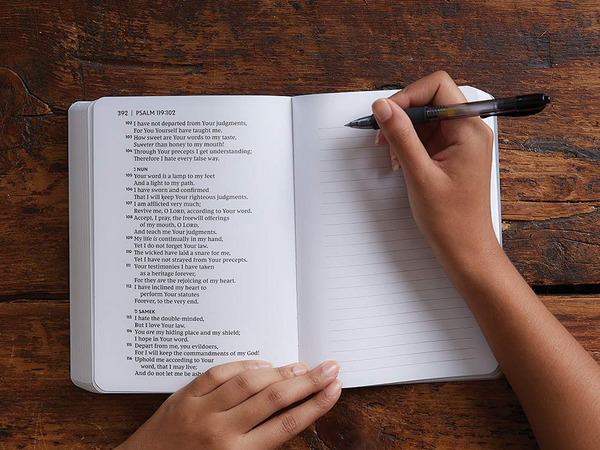 psalms bible journal