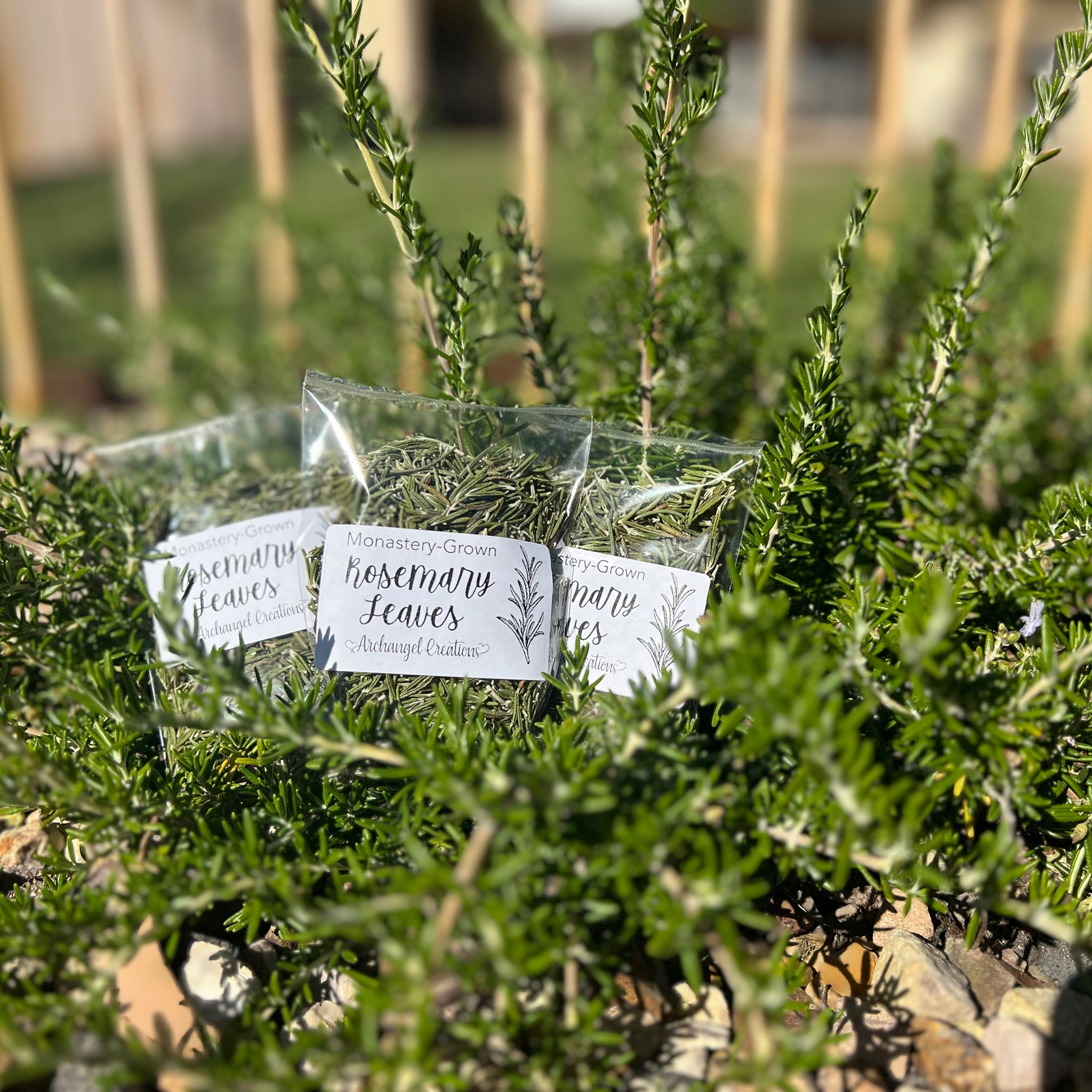 Rosemary Leaves (loose-leaf)