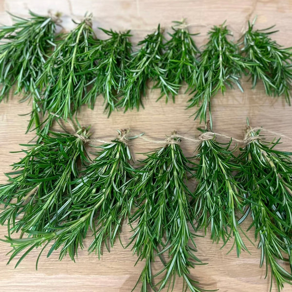 Rosemary leaves monastery grown Rosemary Sprigs