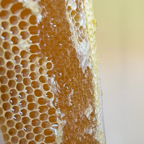 honeycomb bees wax pure raw monastery 